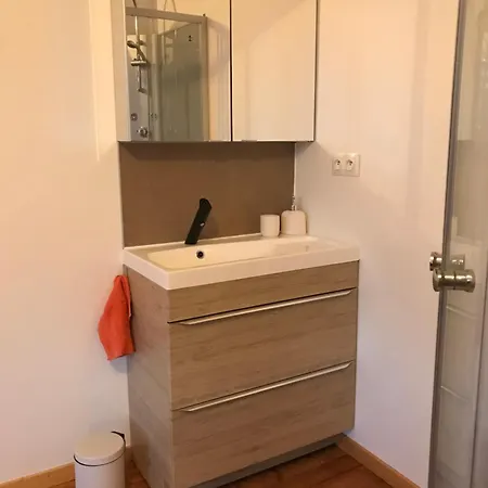 La Aux Briques Oranges ホームステイ サン・ディジエ